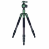 Rollei Lion Rock Traveler M Green Edition - Carbon Stativ
